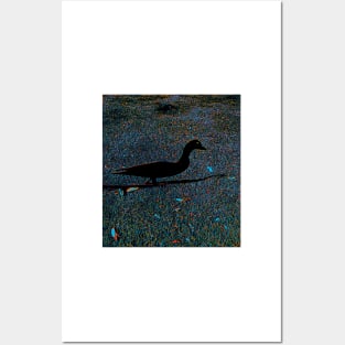 Duck Duck Shadow Posters and Art